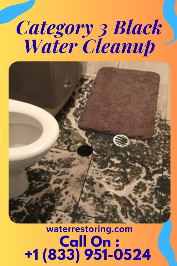 Category 3 Black Water Cleanup in Glenwood, NE